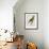 Print of an Amazon Parrot by Jacques Barraband-Stapleton Collection-Framed Giclee Print displayed on a wall