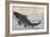 Print of Carp in a Stream-Ando Hiroshige-Framed Giclee Print