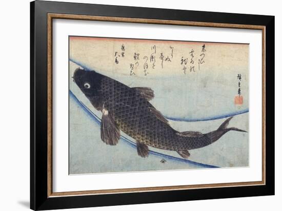 Print of Carp in a Stream-Ando Hiroshige-Framed Giclee Print