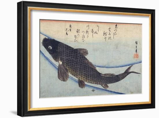 Print of Carp in a Stream-Ando Hiroshige-Framed Giclee Print