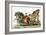 Print of Roman Chariot-null-Framed Giclee Print