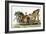 Print of Roman Chariot-null-Framed Giclee Print