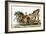 Print of Roman Chariot-null-Framed Giclee Print
