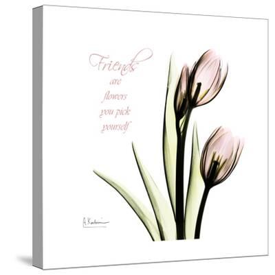 Tulip Friends Art Print by Albert Koetsier at Art.co.uk See more ideas about planting flowers, albert koetsier, botanical art.