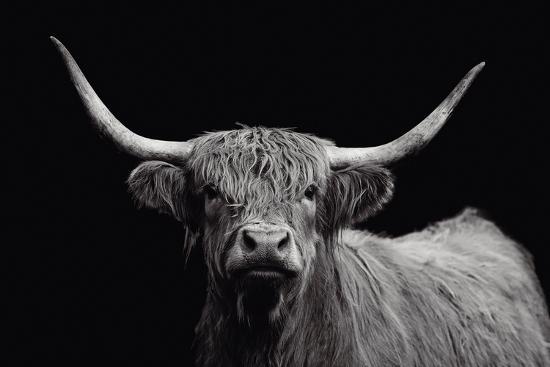 Highland Spirit Giclee Print by Bill Philip at Art.com