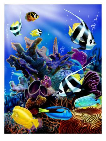 Coral Reef Art Print at Art.com