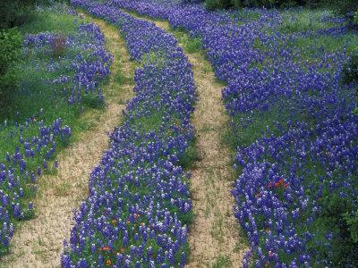 marble falls chat Get pricing, unique features and directions to arbor house of marble falls in marble falls, texas find and compare nearby assisted living facilities. marble falls chat Get pricing, unique features and directions to arbor house of marble falls in marble falls, texas find and compare nearby assisted living facilities.