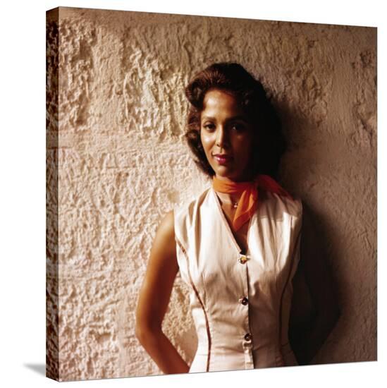research paper on dorothy dandridge research paper on dorothy dandridge