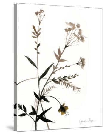 Watermark Wildflowers VIII Art Print by Jennifer ...