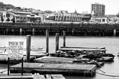 Food Vouchers Fisherman S Wharf Food Vouchers Fisherman S Wharf