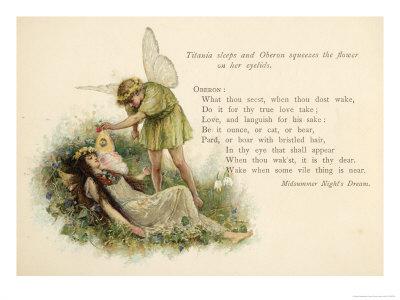 A Midsummer Night's Dream, Act II Scene II: Oberon Squeezes the Flower