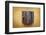 Print-enterlinedesign-Framed Photographic Print