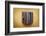 Print-enterlinedesign-Framed Photographic Print