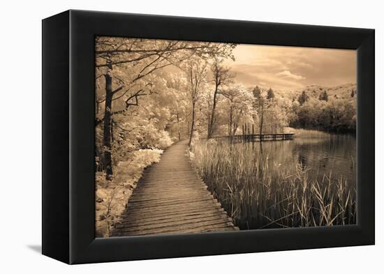 Print-Ily Szilagyi-Framed Stretched Canvas