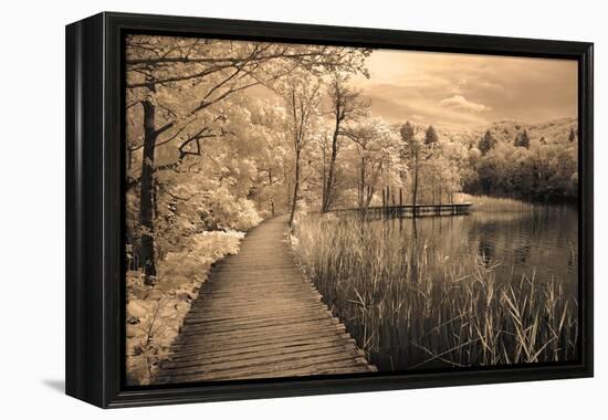 Print-Ily Szilagyi-Framed Stretched Canvas