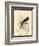 Printed Chimney Swallow-null-Framed Art Print