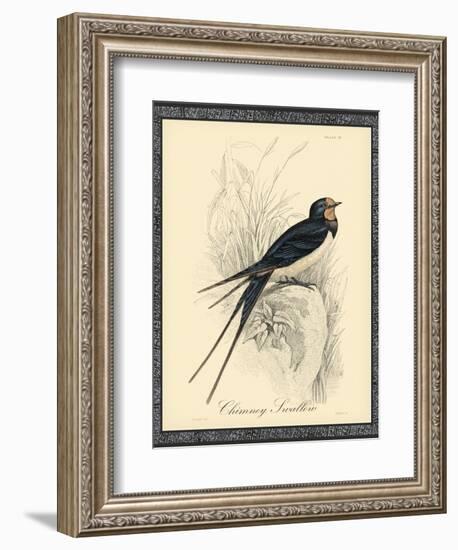 Printed Chimney Swallow-null-Framed Art Print