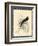 Printed Chimney Swallow-null-Framed Art Print