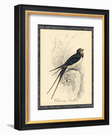 Printed Chimney Swallow-null-Framed Art Print