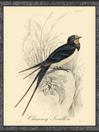 Swallows Vintage Art Wall Art: Prints, Paintings & Posters | Art.com