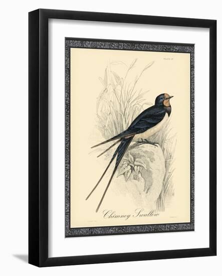 Printed Chimney Swallow-null-Framed Art Print