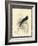 Printed Chimney Swallow-null-Framed Art Print