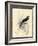 Printed Chimney Swallow-null-Framed Art Print