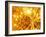 printed Circuit Board, Artwork-Mehau Kulyk-Framed Photographic Print