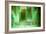 Printed Circuit Board-Arno Massee-Framed Photographic Print