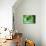Printed Circuit Board-Arno Massee-Mounted Photographic Print displayed on a wall