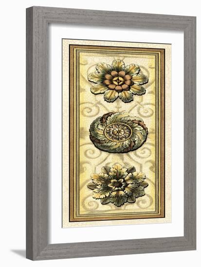 Printed Classic Rosette Panel I-Vision Studio-Framed Art Print