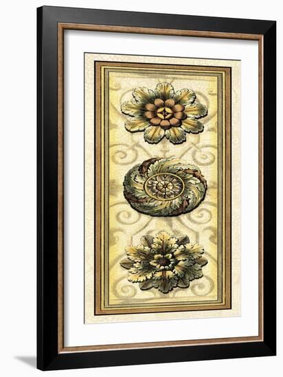 Printed Classic Rosette Panel I-Vision Studio-Framed Art Print