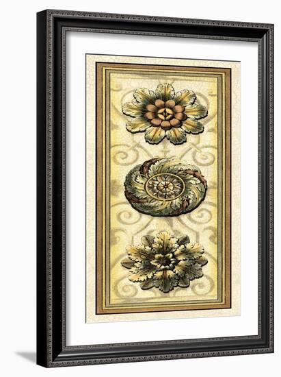 Printed Classic Rosette Panel I-Vision Studio-Framed Art Print