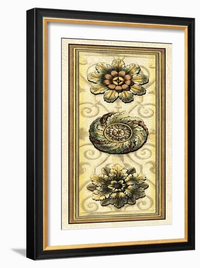 Printed Classic Rosette Panel I-Vision Studio-Framed Art Print