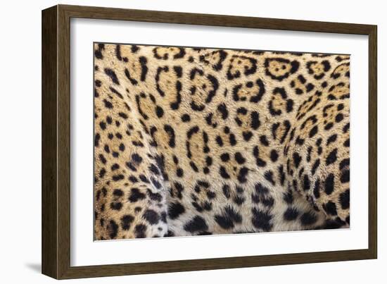 Printed Focus-Staffan Widstrand-Framed Giclee Print