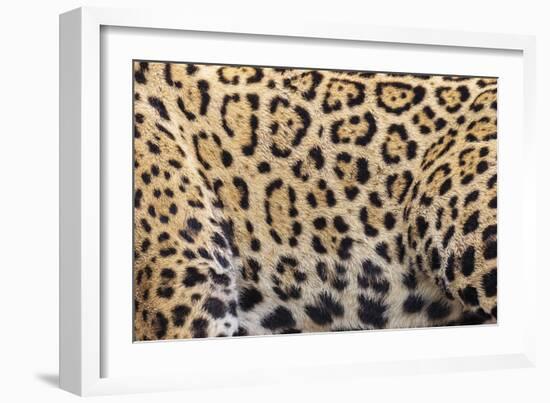 Printed Focus-Staffan Widstrand-Framed Giclee Print