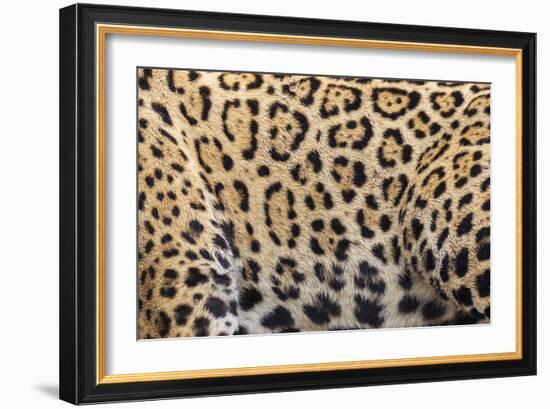 Printed Focus-Staffan Widstrand-Framed Giclee Print