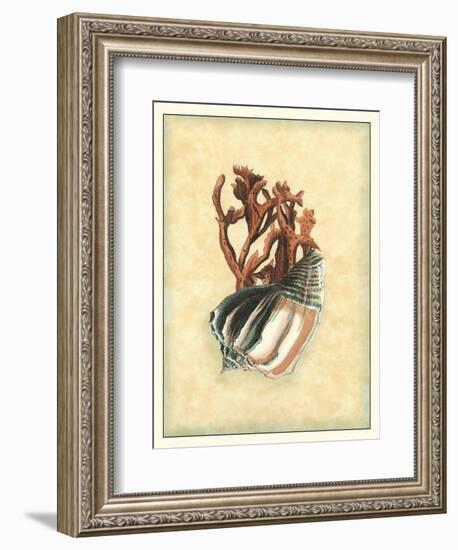 Printed Nature's Treasure II-Vision Studio-Framed Art Print