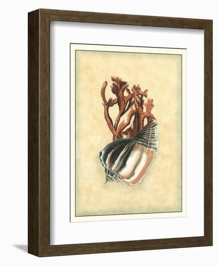 Printed Nature's Treasure II-Vision Studio-Framed Art Print