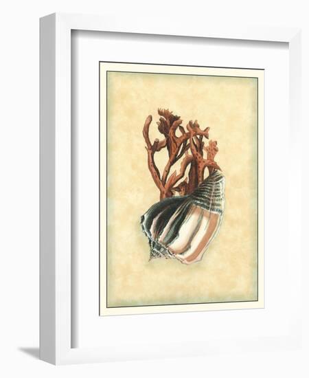 Printed Nature's Treasure II-Vision Studio-Framed Art Print