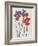 Printed Poppies-Jenny Frean-Framed Giclee Print