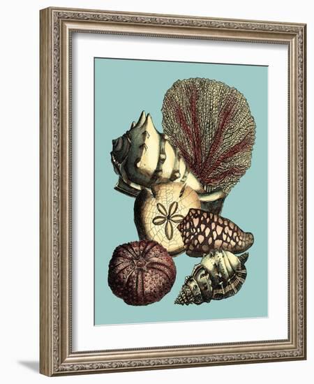 Printed Shell & Coral Collection I-Vision Studio-Framed Art Print