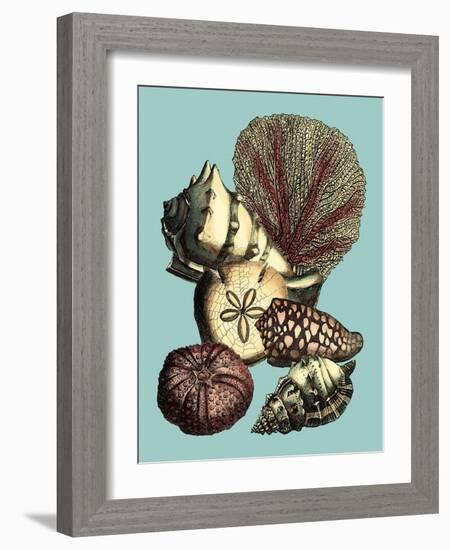 Printed Shell & Coral Collection I-Vision Studio-Framed Art Print