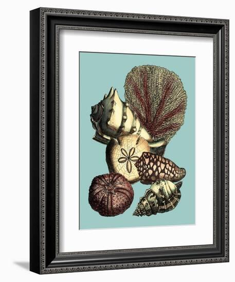 Printed Shell & Coral Collection I-Vision Studio-Framed Art Print