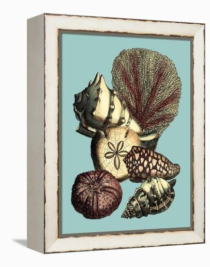 Printed Shell & Coral Collection I-Vision Studio-Framed Stretched Canvas