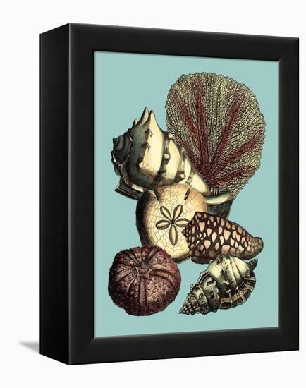 Printed Shell & Coral Collection I-Vision Studio-Framed Stretched Canvas