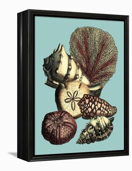 Printed Shell & Coral Collection I-Vision Studio-Framed Stretched Canvas