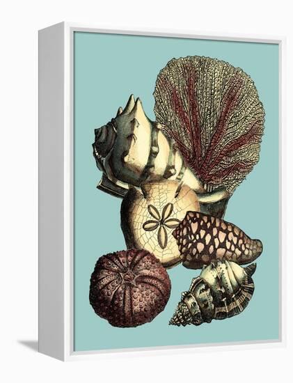 Printed Shell & Coral Collection I-Vision Studio-Framed Stretched Canvas