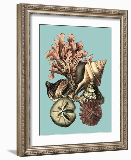 Printed Shell & Coral Collection II-Vision Studio-Framed Art Print