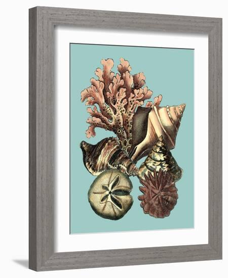 Printed Shell & Coral Collection II-Vision Studio-Framed Art Print